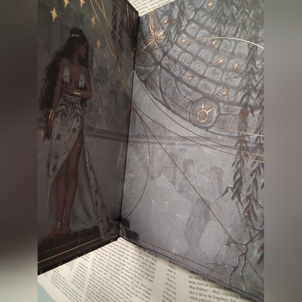 Fairyloot Edition Of Fallen City by Adrienne Young - Picture 5 of 11
